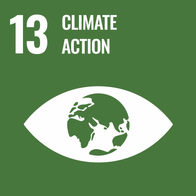 SDG Goals 13