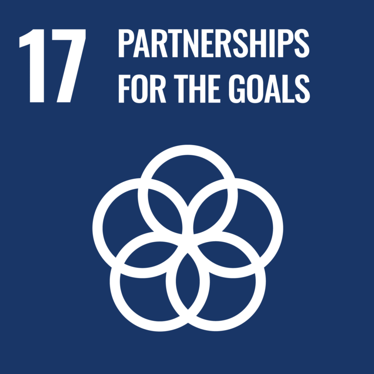 SDG Goals 17